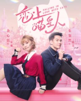 公交车上女子发病 好司机闯红灯救人